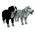 1.jpg DOG DOG - DOWNLOAD Sheepdog 3d model - CANINE PET GUARDIAN WOLF HOUSE HOME GARDEN POLICE 3D printing DOG DOG