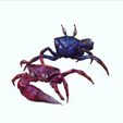 P.jpg Crab, - DOWNLOAD Crab 3d Model - PACK animated for Blender-Fbx-Unity-Maya-Unreal-C4d-3ds Max - 3D Printing Crab Crab