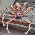 Skeleton_Spider2_1.jpg TARANTULA FLEXI PRINT-IN-PLACE SKELETON SPIDER_HALLOWEEN