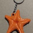WhatsApp-Image-2025-08-02-at-9.51.03-PM.jpeg Star Conicet culona mar del plata keychain magnet postasahumerio