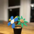 IMG_1089.jpeg Filament Flower - Giftable, Modular Spring Flower Kit