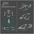 Dimorphodon-Instructions-p1.png Dimorphodon macronyx skull