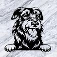 Sin-título.jpg IRISH WOLFHOUND DOG WALL DECOR WALL DECORATION PET DOG DECO WALL HOUSE PET REALISTIC ANIMAL ORNAMENT LOVE DOGS