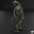 Arctodus-skeleton-5.png Arctodus simus - short faced bear skeleton 3D print model