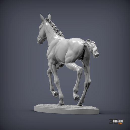 foal-is-running4.jpg El potro corre