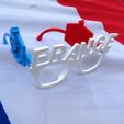Lunettes Equipe de France.JPG Download free file French Team Glasses • Model to 3D print, LaWouattebete