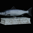 Salmon-statue-box-1.png fish sculpture of a Atlantic salmon / salmo salar with storage space / for 3d printing