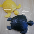 turtle1.png Free STL file Turtle with moving legs・3D printer model to download