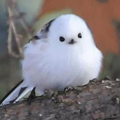 borb.jpg STL file VR Chat Bird・Design to download and 3D print