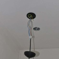 DSC_9469.JPG Free STL file Ceiling Lamp fixture・Object to download and to 3D print