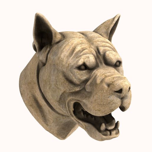 Pitbull Head 3D model