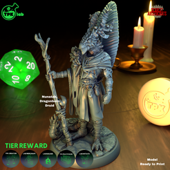 13.png 3D file Nunatak, Dragonborn Druid・3D printable model to download, TPKLab