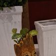 Baby Groot
