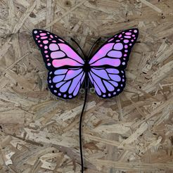 IMG_3368.jpeg Lampe papillon / butterfly lamp