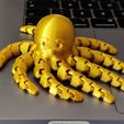 photo2.jpg Funny Flexi Octopus
