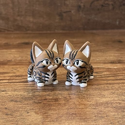 Bengal Cat