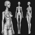 1.jpg BJD kit - 7 dolls 3D model bjd Female \ female \ figurines \ articulated doll \ ooak \ 3d print \ character \ face