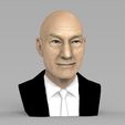 professor-x-charles-xavier-bust-ready-for-full-color-3d-printing-3d-model-obj-mtl-fbx-stl-wrl-wrz-9.jpg Professor X Charles Xavier from X-Men bust full color 3D printing
