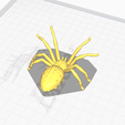 3.png Spider attack