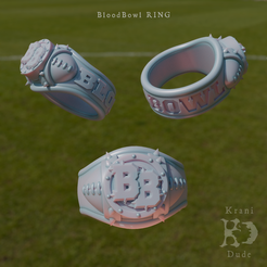 BB_Ring.png Blood Bowl Ring