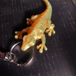 Gecko best free 3D printer files・122 models to download・Cults