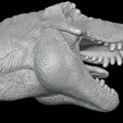 10.png T-rex dinosaur High detailed solid scale model