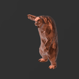 Screenshot_12.png Low Poly - Angry Bear Magnificent Design