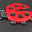 Cod281-Ladybug-Coaster-3.jpeg Ladybug Coaster