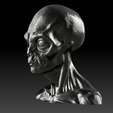 scifi-alien-head-model.png 逼真的外星人胸像 STL - 外星人科幻生物 3D 打印模型