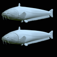Catfish-Europe-2.png FISH WELS CATFISH / SILURUS GLANIS solo model detailed texture for 3d printing