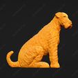191-Airedale_Terrier_Pose_06.jpg Airedale Terrier Dog 3D Print Model Pose 06