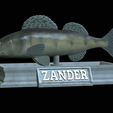 zander-statue-4-open-mouth-1-17.png fish zander / pikeperch / Sander lucioperca  open mouth statue detailed texture for 3d printing