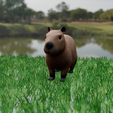 capibara.png Capybara