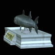 Barracuda-base-14.png fish great barracuda / Sphyraena barracuda statue detailed texture for 3d printing