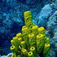 b855b30d69bb4ec62f362ae51c0002b6.jpg Plastic Reef #3: Tube Sponge Generator