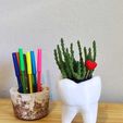 WhatsApp Image 2020-06-13 at 20.06.06.jpeg Jarrón de dientes - Vaso de dente (EASY PRINT NO SUPPORT)