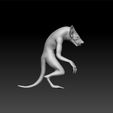 rat2.jpg Rat - big rat