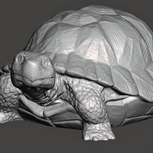 Turtle-Figurine-Pic-7.jpg Turtle Figurine