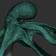 18.png Octopus Statue