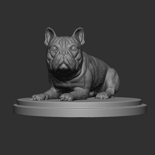 Bulldog Personalizado 3D model