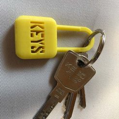 IMG_7226.JPG Free STL file KeyChain Padlock・3D printable model to download