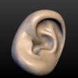 Ear-08.jpg Round Ear
