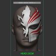 16.JPG Half Hollow Mask - Kurosaki Ichigo - Bleach 3D print model
