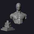 preview7.png Spiderman Bust