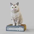 Meowy_Chainsaw-man.2095.jpg Meowy (ニャーコ, Nyāko)- cat - Chainsaw Man - feline-sitting pose-FANART FIGURINE