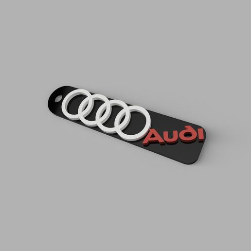 Vizual.jpg Audi Keychain