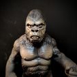IMG_20221117_113557.jpg King Kong (1976)