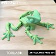 05.jpg Articulated Frog 001