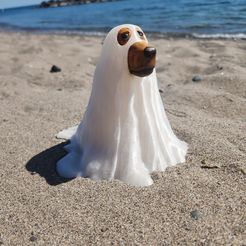 20230915_140109.jpg Ghost Dog