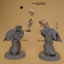 WELCOME-PÄCKAGE.986.png Fichier 3D gratuit Assassin Raven, a soldier for RPGs and wargame 28mm・Plan imprimable en 3D à télécharger, EllbStudio